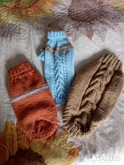 Одежда для животных