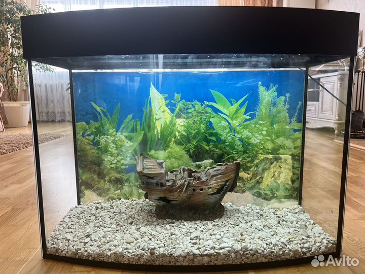 Аквариум на 120 литров