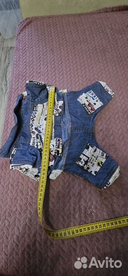 Костюм для собак мелких пород