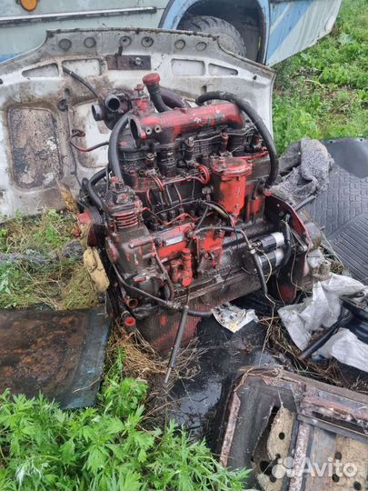 Двигатель от быка д245