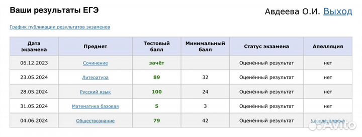 Репетитор по литературе