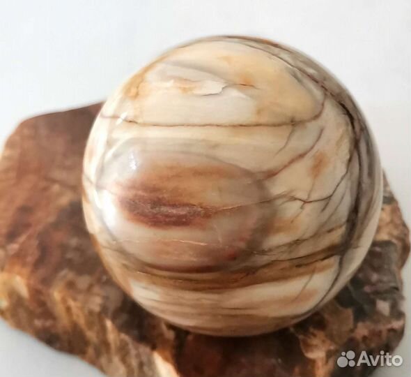 Шар из природного камня. Окаменелое дерево