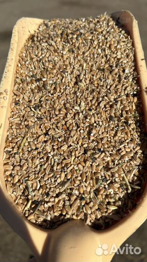 Зерносмесь кормовая