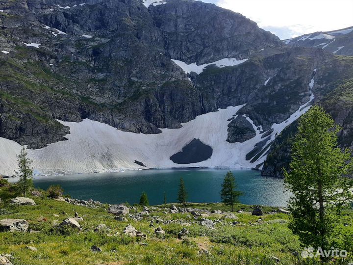 Конные прогулки усть кокса