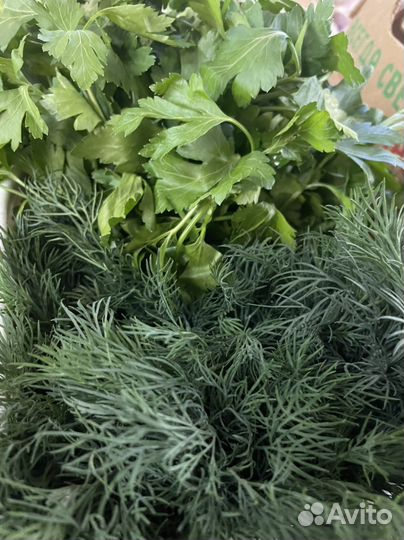 Картофель и много другое