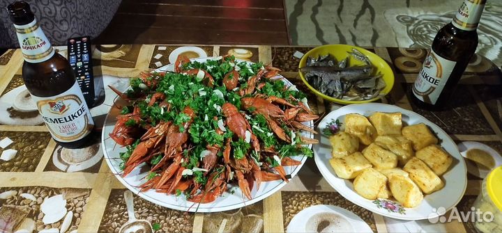 Продам живые раки