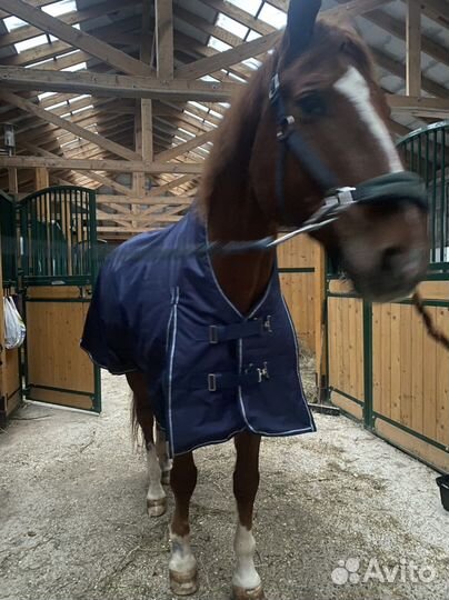 Попона прогулочная флис, утеплитель 150гр