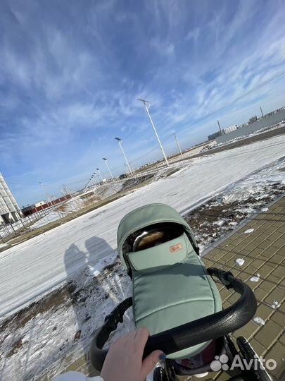 Коляска rico basic 2 в 1