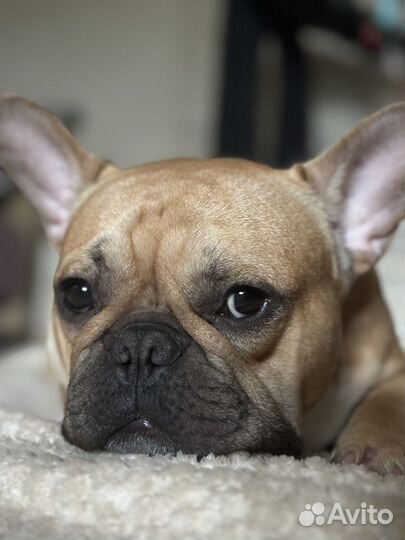 Кабель вязка (развязан )