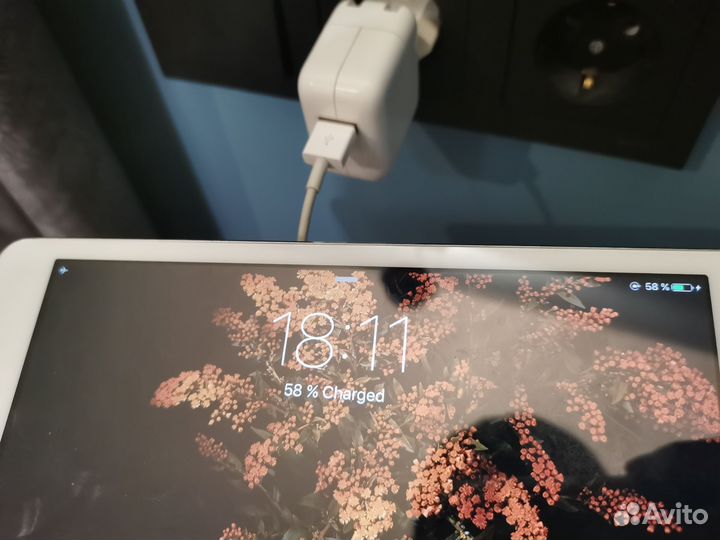 Зарядка на iPad 12w