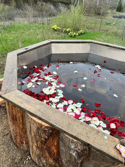 Дом 120 м² на участке 17 сот.