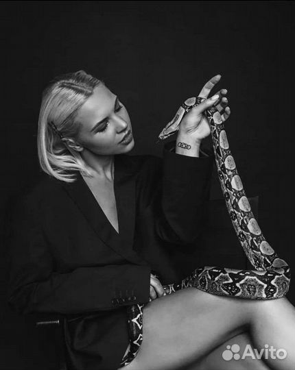 Аренда змей для фотосессии и видеосъёмки