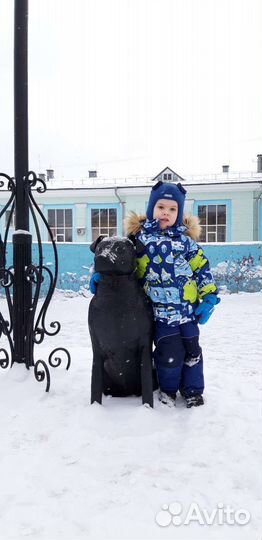 Шапка шлем Beezy (Бизи), зима