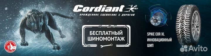 Cordiant Snow Cross 215/50 R17