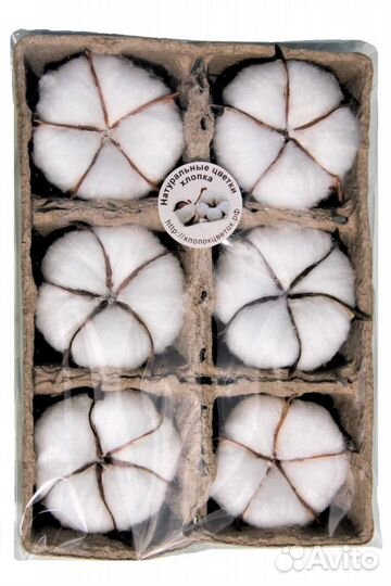 Хлопок стабилизированный