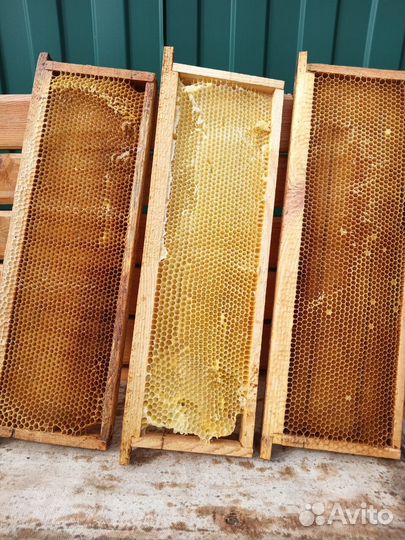 Рамки с сушью