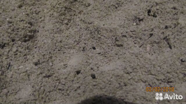 Древесная зола