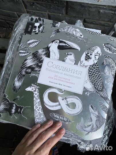 Создания большие и маленькие. Книга-раскраска