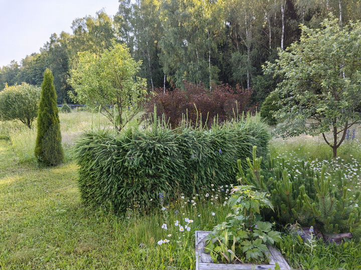 Дом 150 м² на участке 10 га