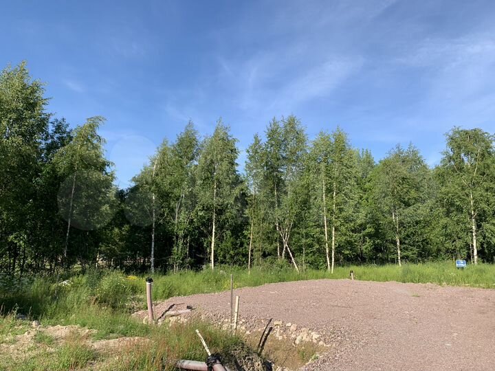 Участок 18,7 сот. (СНТ, ДНП)