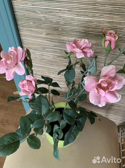 Розы из Икеи