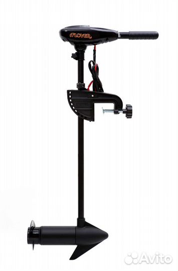 Аренда лодочного электромотора