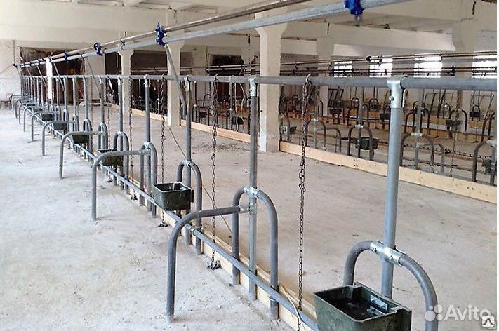 Стойловое содержание и поение на 100 голов крс