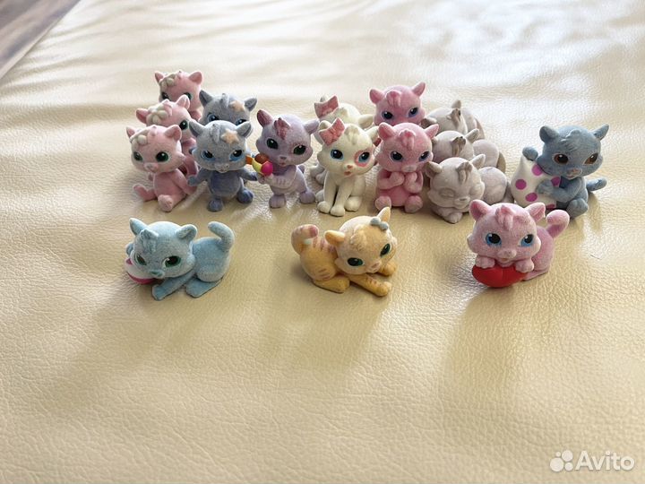 Маджики любимые котята