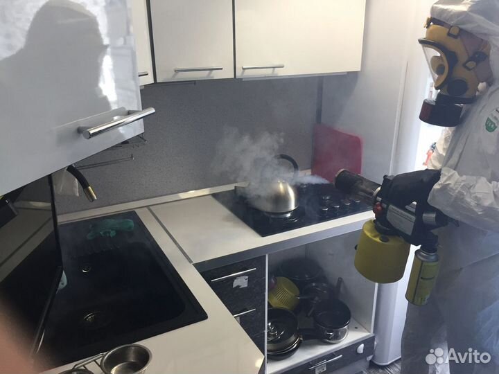 Уничтожение тараканов, клопов. Дезинфекция