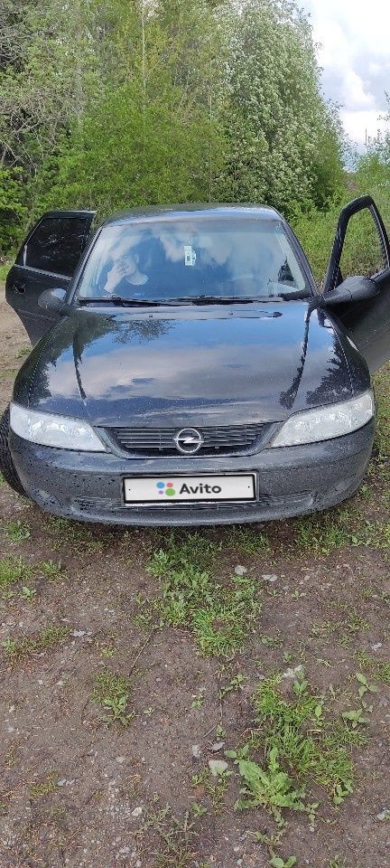 Opel Vectra: фото владельца
