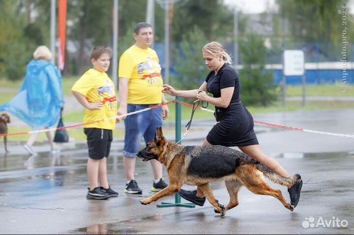 Услуги хендлера