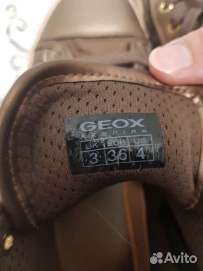 Кеды Geox для девочки 36