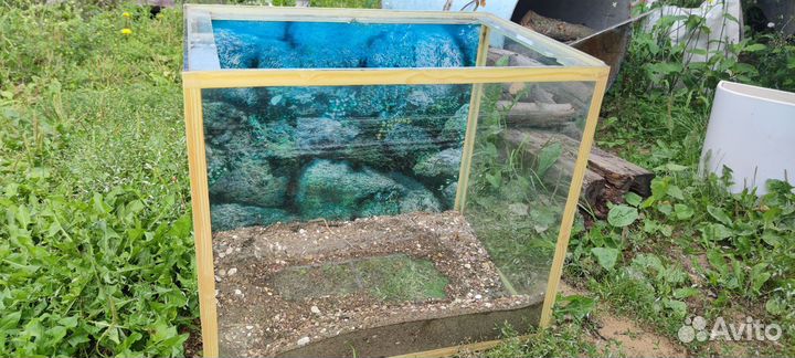 Аквариум бесплатно