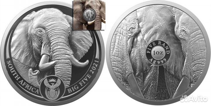 Юар 2, 5 Рэнд большая пятёрка 2022 Лев,Носоро,Леоп