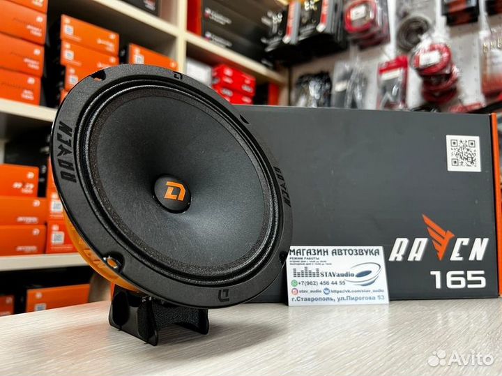 Акустика DL Audio Raven 165