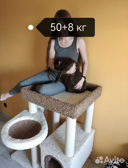 Когтеточка с домиком