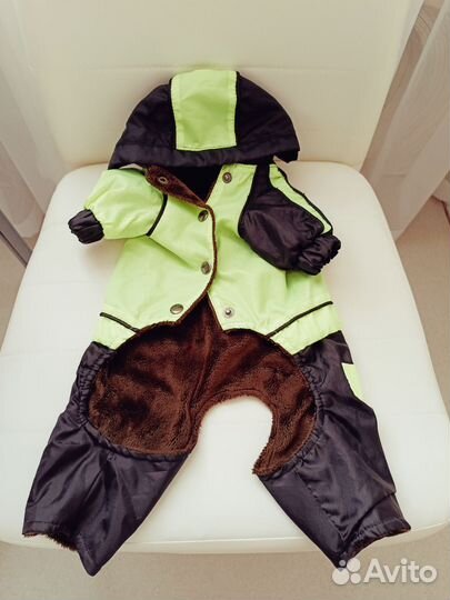 Костюм на собаку