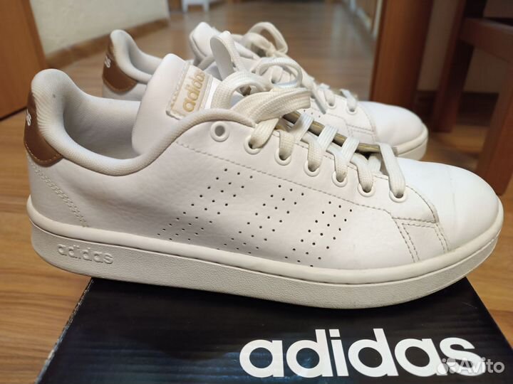 Кеды adidas