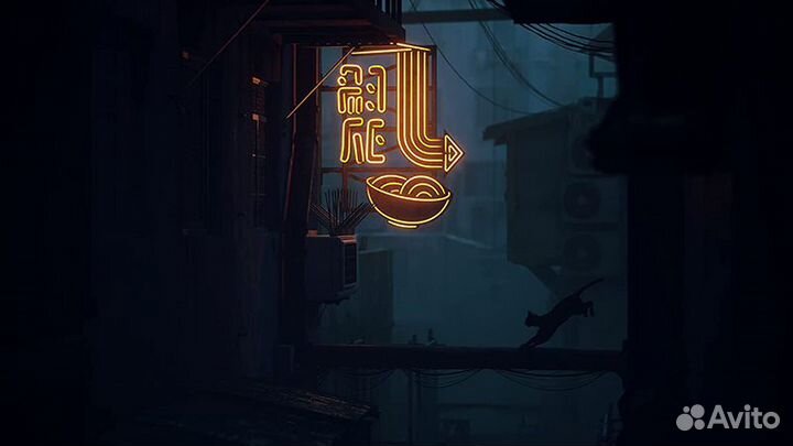 Stray PS4/PS5
