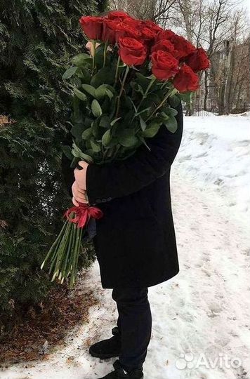 Розы гиганты 140 150 160 170 180 200