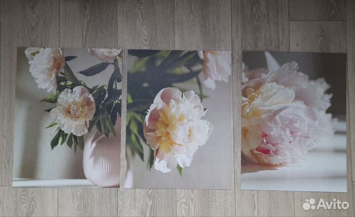 Постеры 30х40