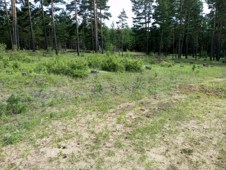 Участок 10 сот. (ИЖС)