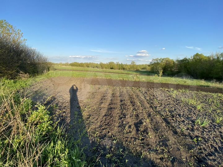 Участок 50 сот. (СНТ, ДНП)