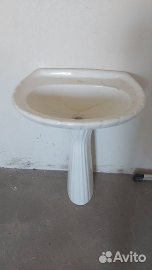 Раковина тюльпан