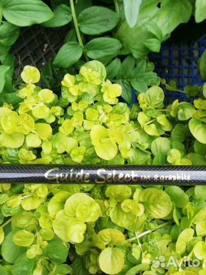 Охота и рыбалка