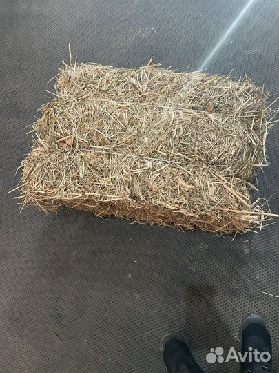 Сено в тюках