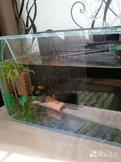 Рыбки и всё для аквариума