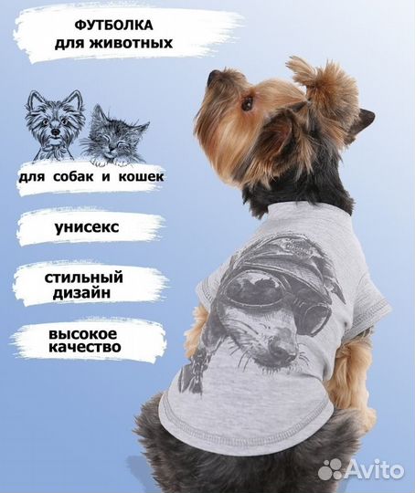 Вещи для маленьких собак пакетом, шлейка и поводок