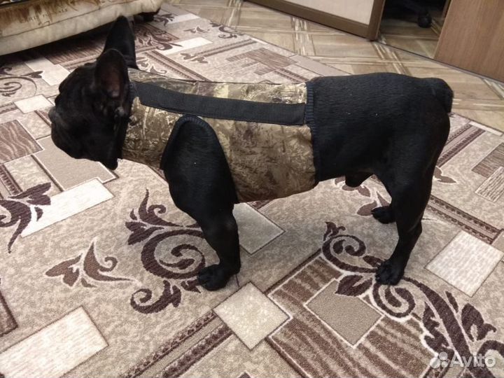 Лечебный шейный корсет для собак любой породы