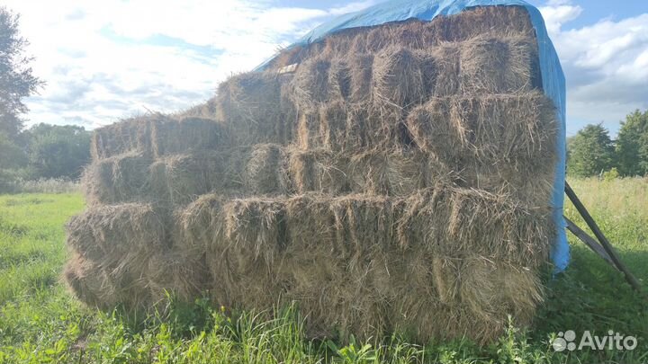 Сено в тюках